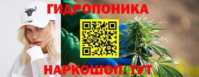 jwh Пушкино