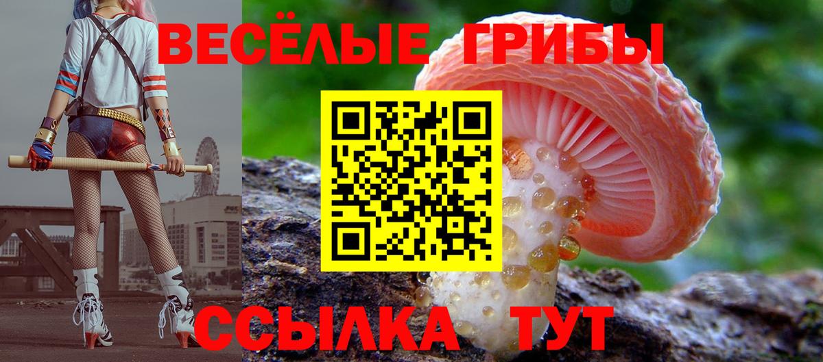 Стрежевой  Галлюциногенные грибы MAGIC MUSHROOMS  Галлюциногенные грибы Psilocybe  Вход с VPN 