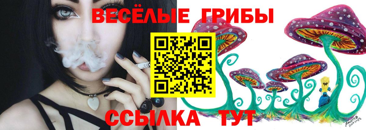 Псилоцибиновые грибы GOLDEN TEACHER Стрежевой